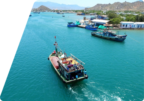 教育咨询交流的平台